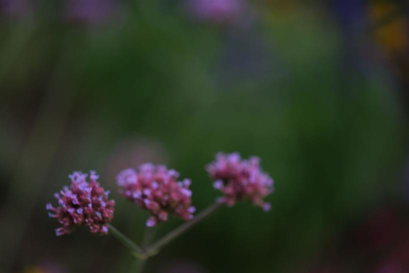 Haiku 01 Andreas Stopp