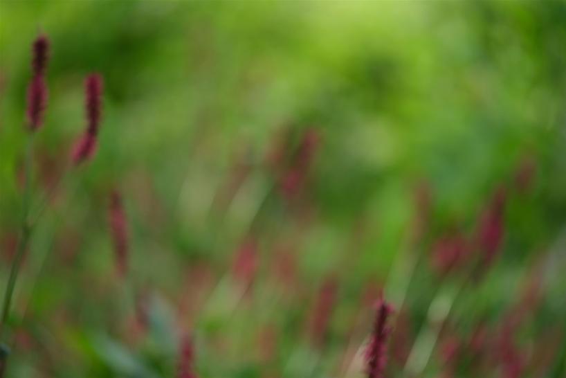 Haiku 04 Andreas Stopp