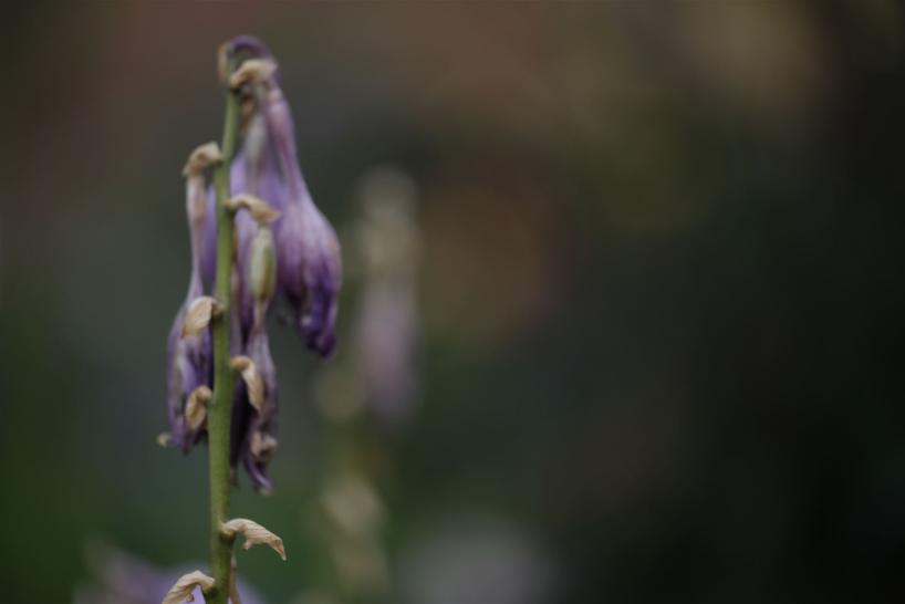 Haiku 07 Andreas Stopp