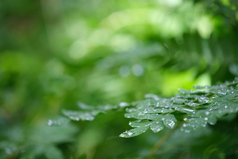 Haiku 10 Andreas Stopp