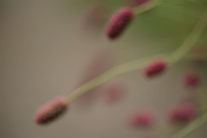 Haiku 13 Andreras Stopp